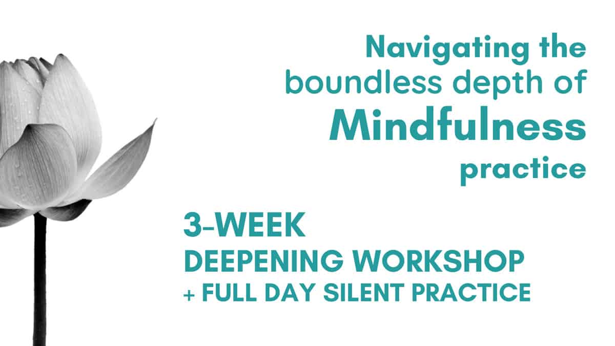 Navigating the boundless depth of Mindfulness practice. 3-week Deepening Workshop + Full Day Silent Practice